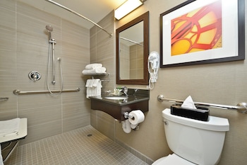 HOLIDAY INN NYC - LOWER EAST SIDE