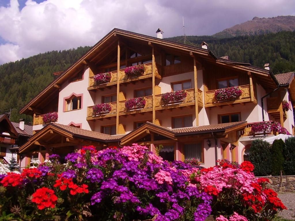 ACTIVE HOTEL GRAN ZEBRU'