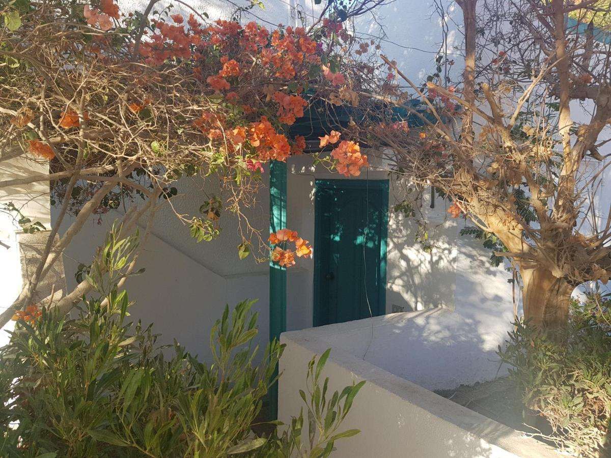 LILLY ROOMS AND STUDIOS