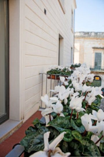 ARCO VECCHIO URBAN SUITE BY EPOCA COLLECTION