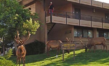 THUNDERBIRD LODGE