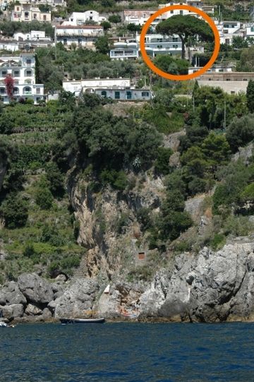 IL PINO