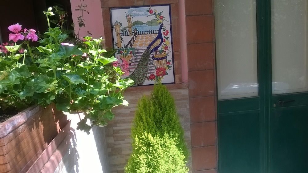 LA VALLE DELL'ETNA