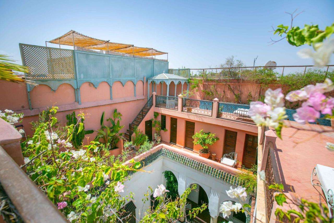 RIAD MARELIA