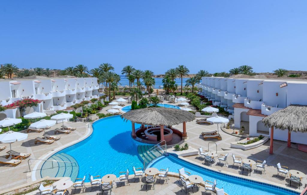 JAZ ELITE PALACE - ADULT +16